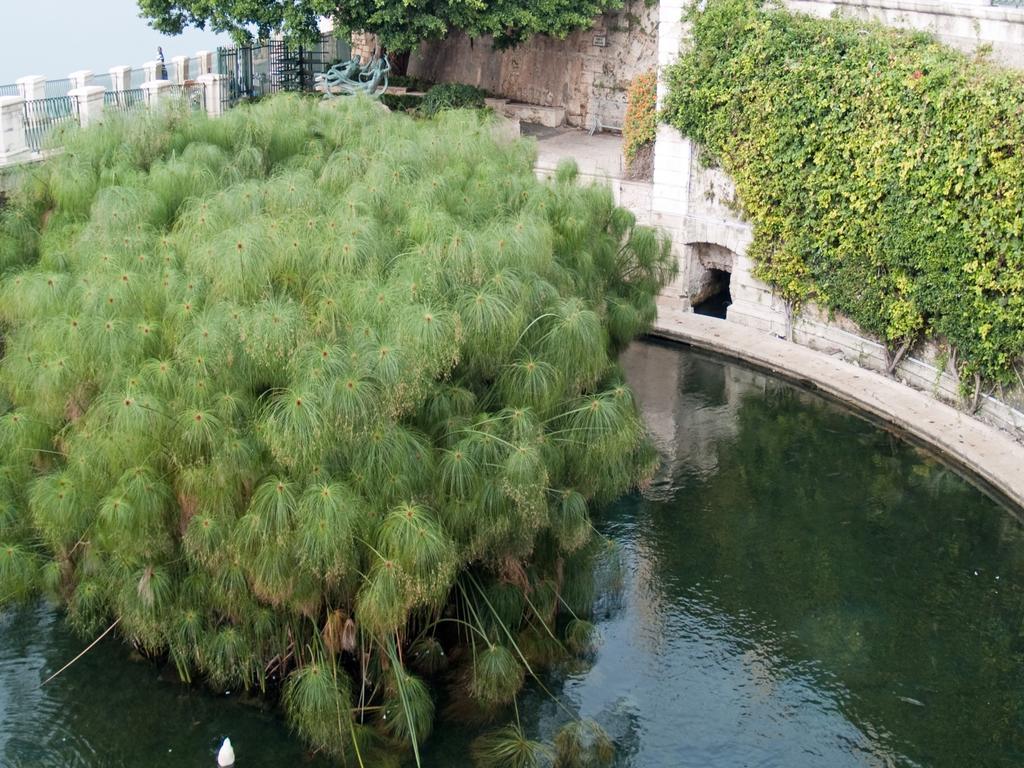 Rosa Di Ortigia Apartment Syracuse Bagian luar foto